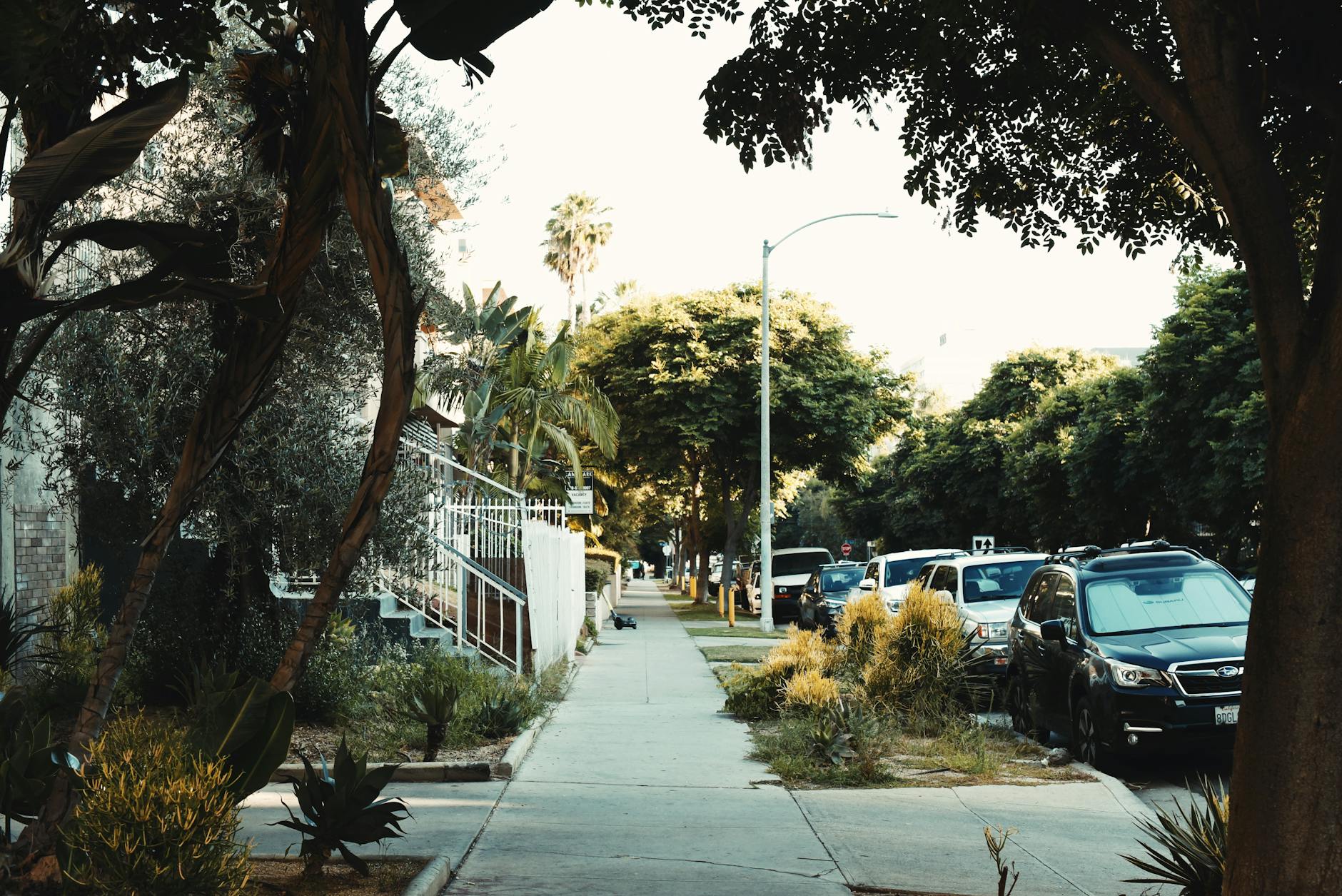 charming los angeles neighborhood street scene
